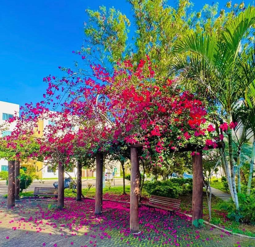 No Marina Clube Apartment